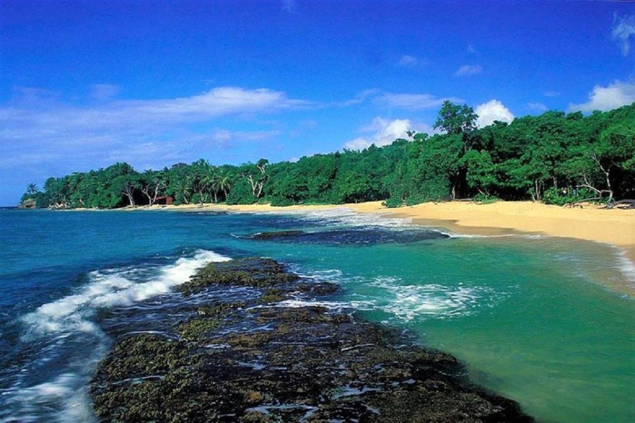 Oceane***Route Des Plages***Marina***Wifi Le Marin 외부 사진