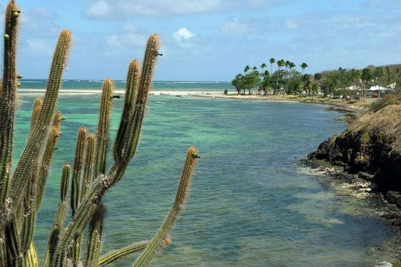 Oceane***Route Des Plages***Marina***Wifi Le Marin 외부 사진
